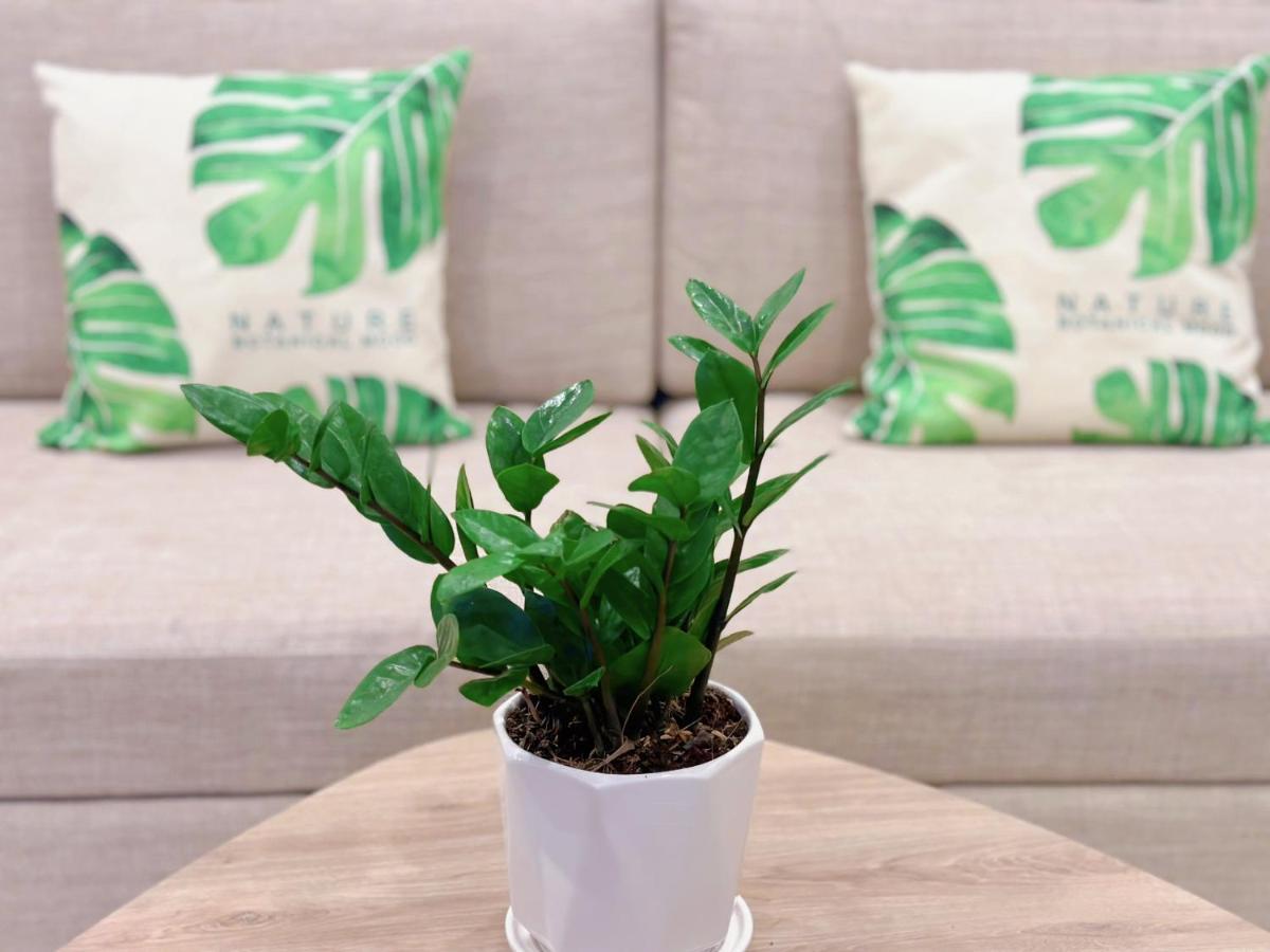 Homeaway - The Song Apartment 3Brs Lux Condotel Vung Tau Esterno foto